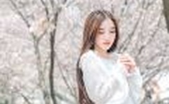 日本在线播放一区